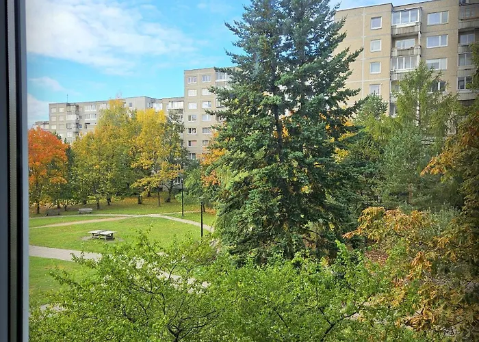 Zemyna Apartment Vilnius