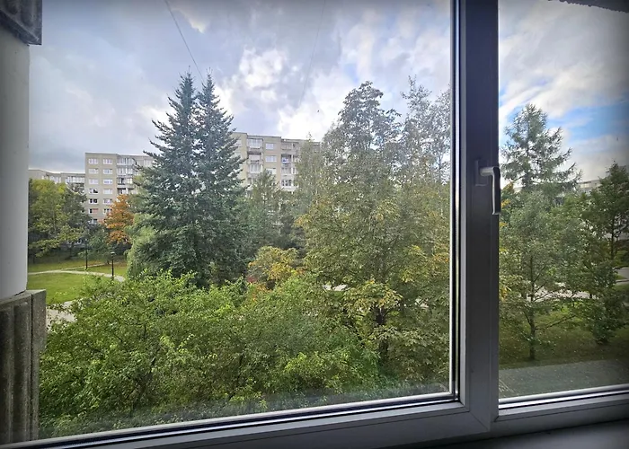 Apartment Zemyna Vilnius